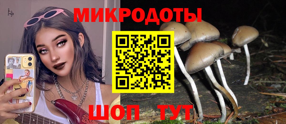 Галлюциногенные грибы Cubensis  Вход с VPN  Галлюциногенные грибы MAGIC MUSHROOMS  Южно-Сахалинск 
