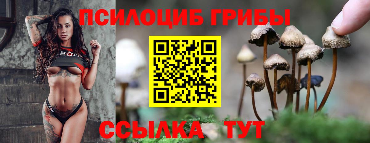 Псилоцибиновые грибы прущие грибы Южно-Сахалинск